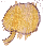 Image for Yesterday is no more.